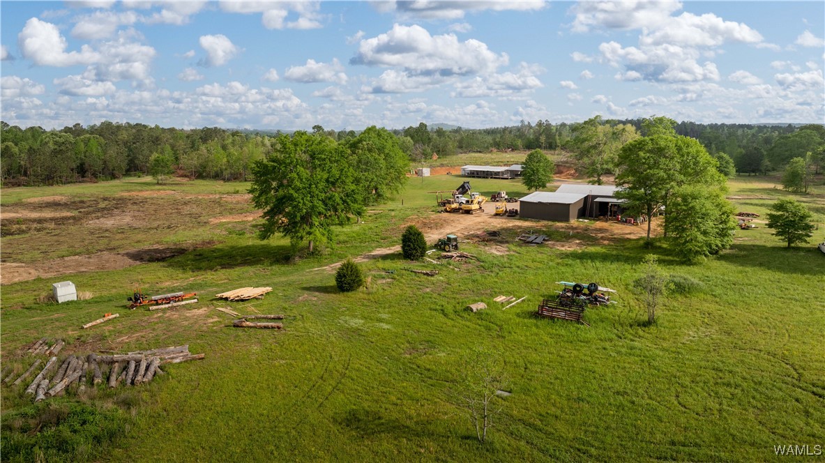 2194 Lum Fife Road, Gordo, Alabama image 16