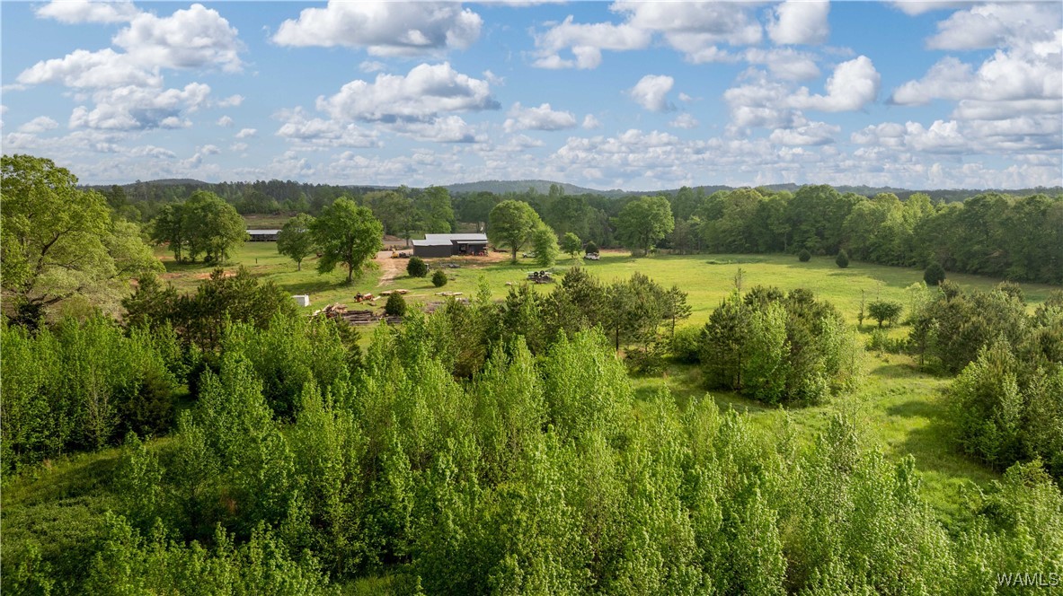 2194 Lum Fife Road, Gordo, Alabama image 14
