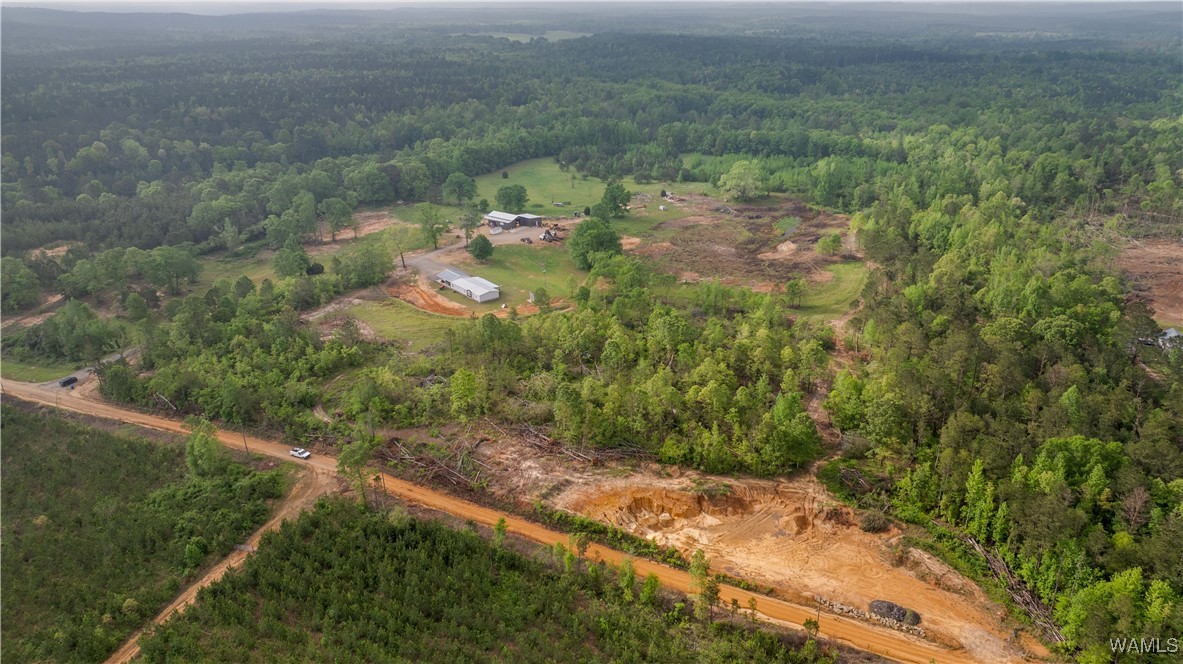 2194 Lum Fife Road, Gordo, Alabama image 19