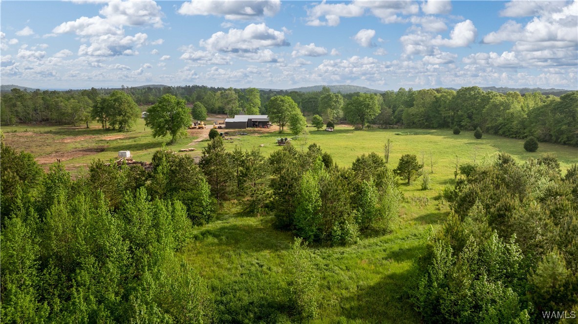 2194 Lum Fife Road, Gordo, Alabama image 15