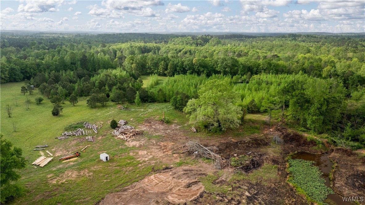 2194 Lum Fife Road, Gordo, Alabama image 11