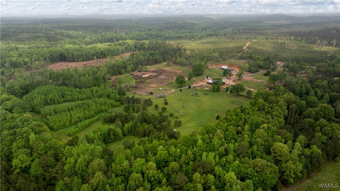 2194 Lum Fife Road, Gordo, Alabama image 26