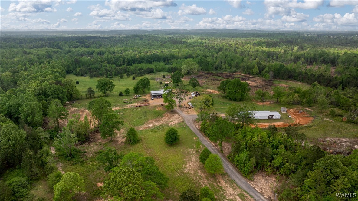 2194 Lum Fife Road, Gordo, Alabama image 30