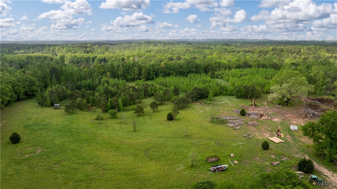 2194 Lum Fife Road, Gordo, Alabama image 9