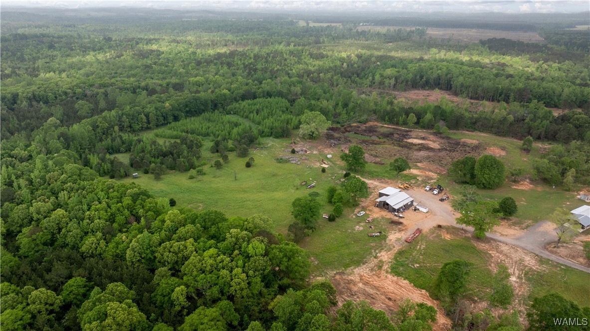 2194 Lum Fife Road, Gordo, Alabama image 27