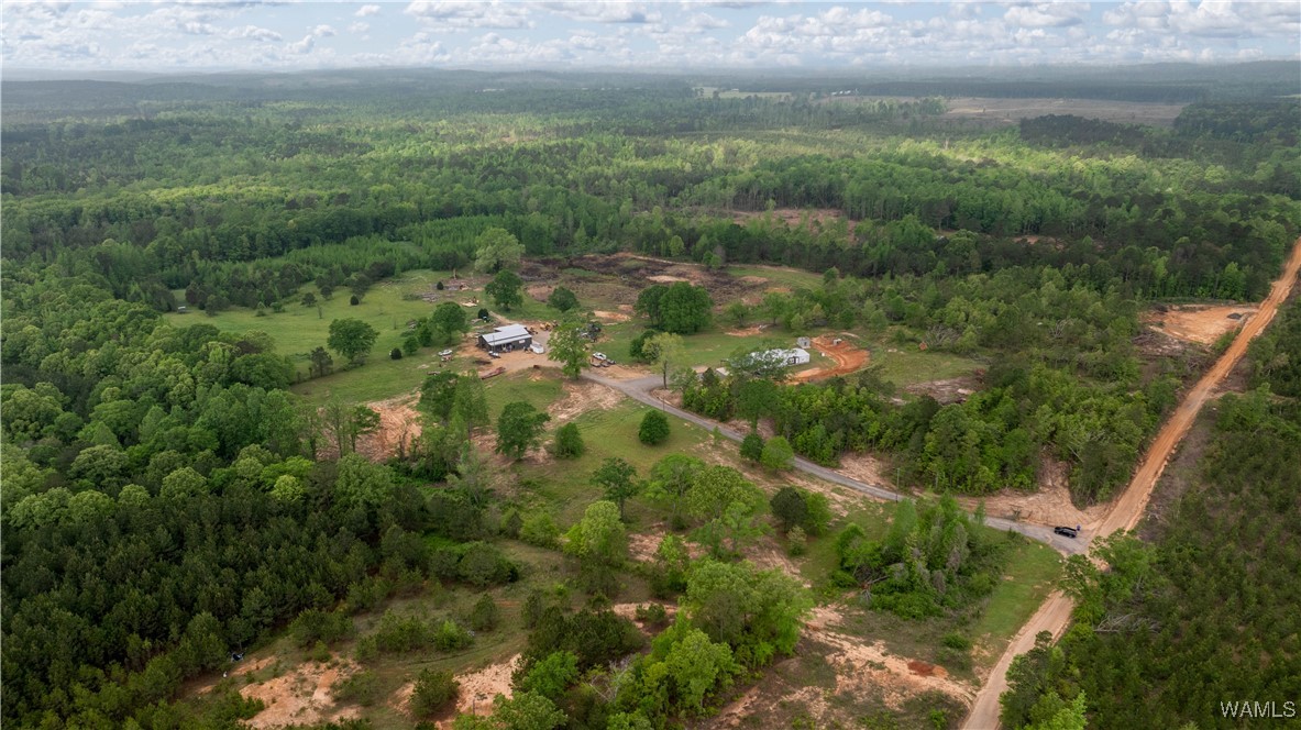 2194 Lum Fife Road, Gordo, Alabama image 28