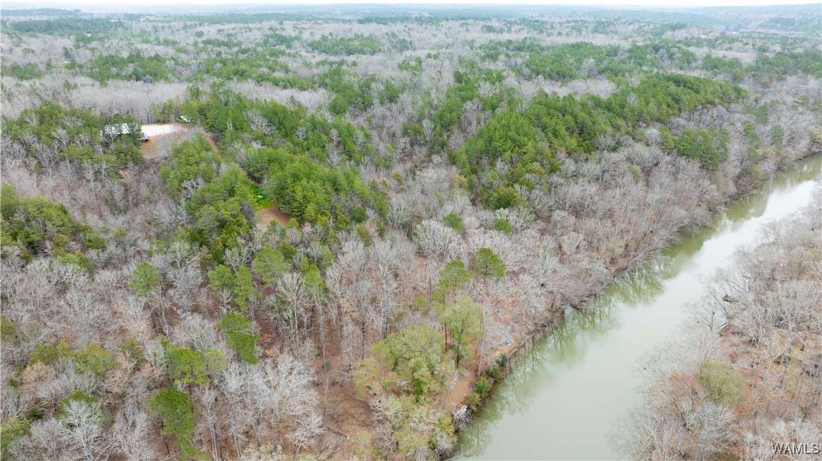 00000 Berryhill Drive, North Port, Alabama image 20