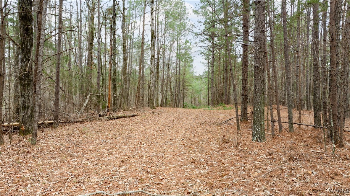 00000 Berryhill Drive, North Port, Alabama image 49
