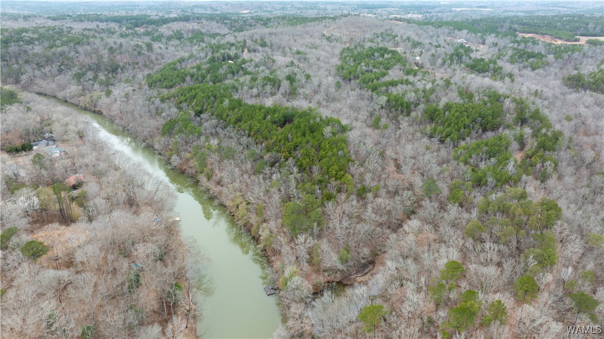 00000 Berryhill Drive, North Port, Alabama image 12