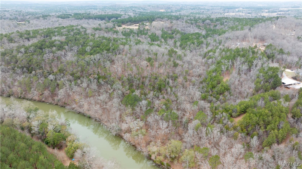 00000 Berryhill Drive, North Port, Alabama image 23