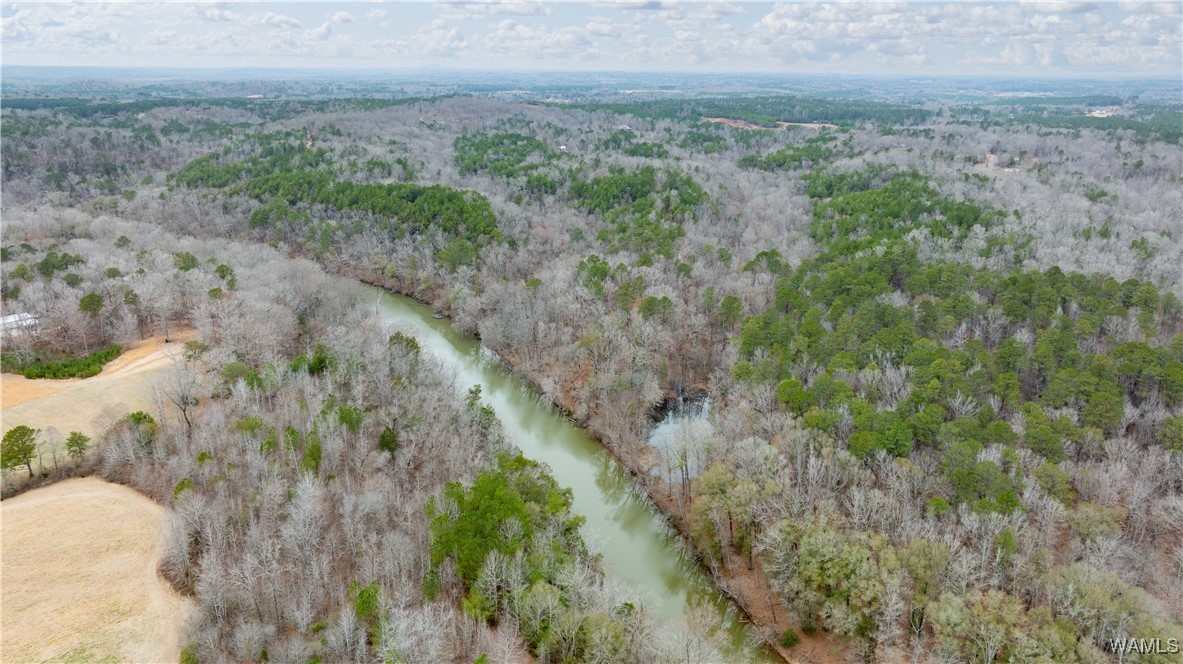 00000 Berryhill Drive, North Port, Alabama image 41