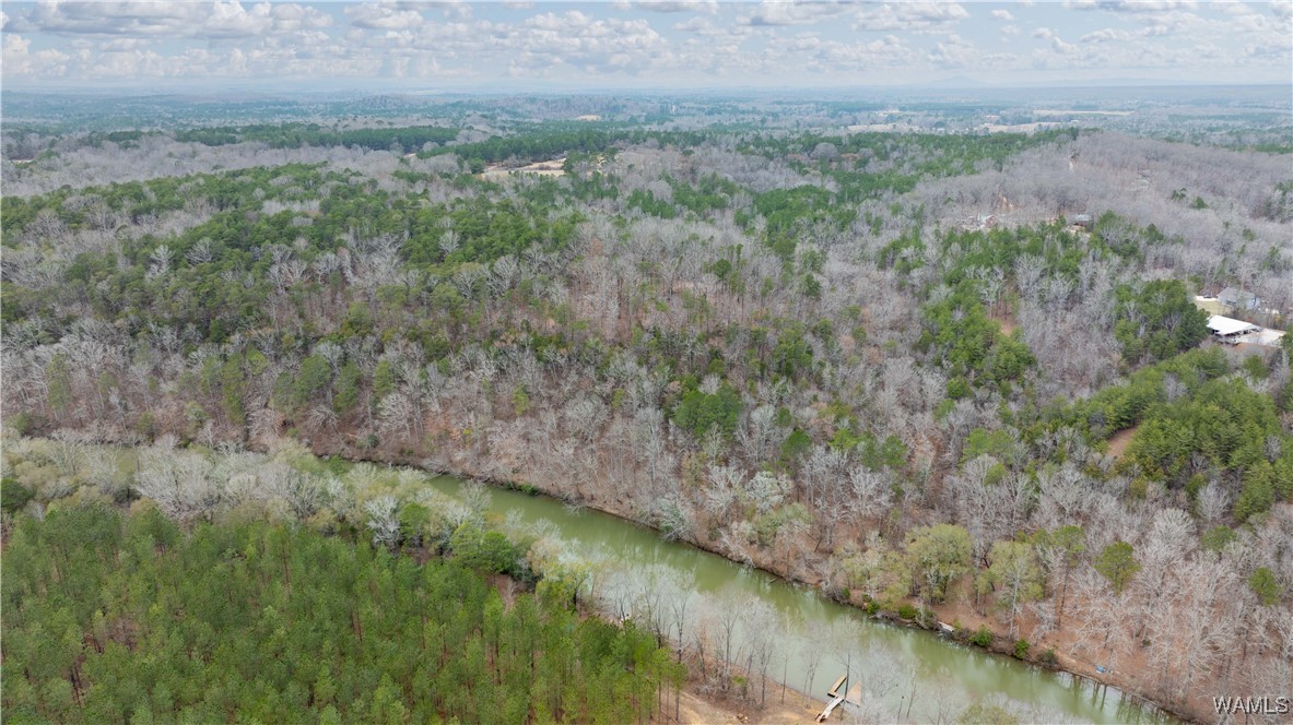 00000 Berryhill Drive, North Port, Alabama image 26