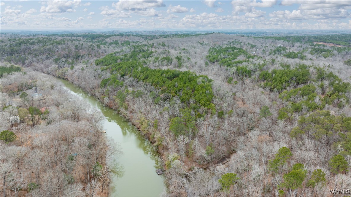 00000 Berryhill Drive, North Port, Alabama image 13
