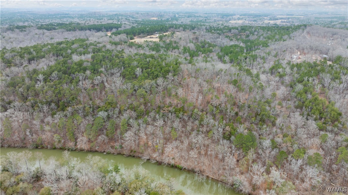 00000 Berryhill Drive, North Port, Alabama image 24