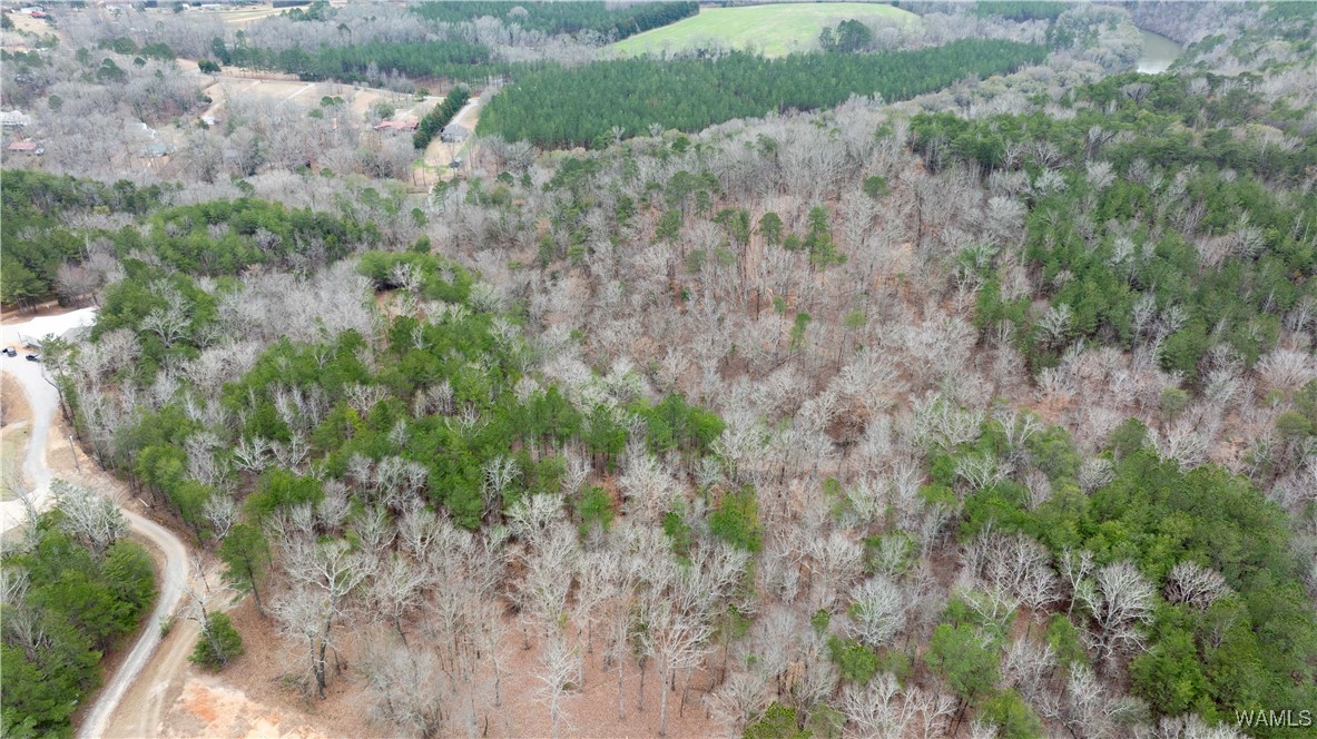00000 Berryhill Drive, North Port, Alabama image 27