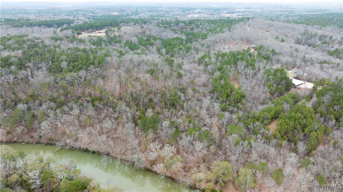 00000 Berryhill Drive, North Port, Alabama image 21