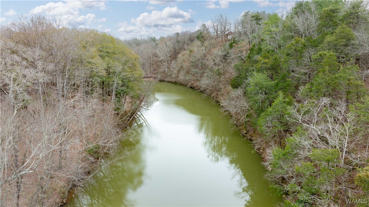 00000 Berryhill Drive, North Port, Alabama image 2