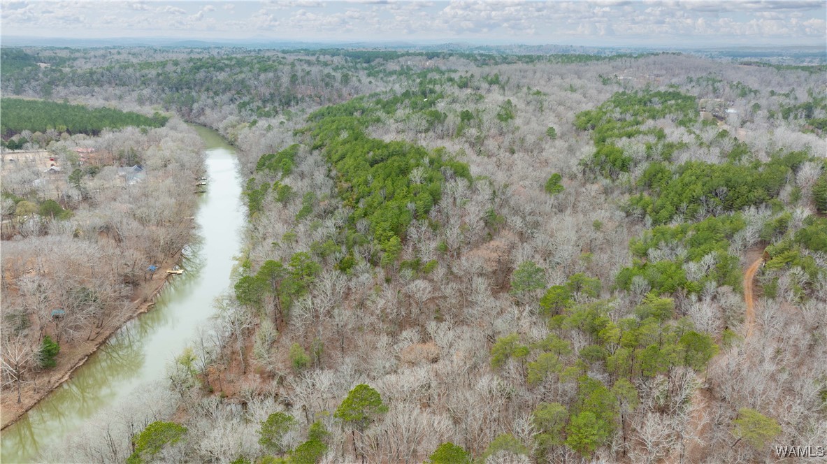 00000 Berryhill Drive, North Port, Alabama image 14