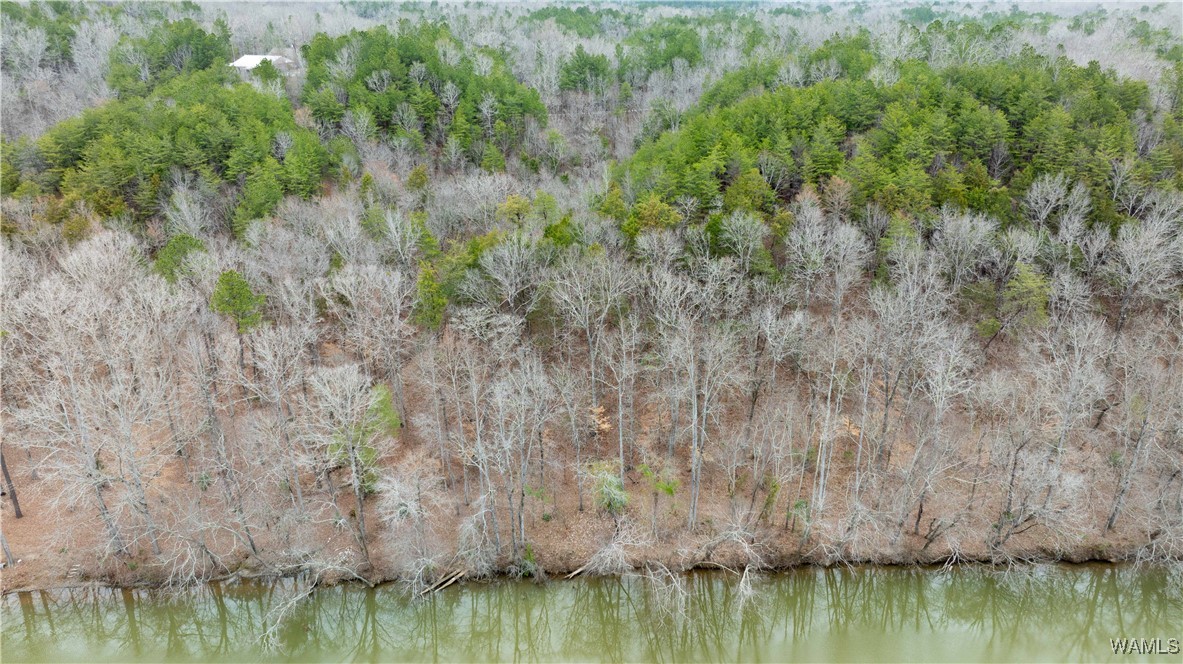 00000 Berryhill Drive, North Port, Alabama image 17