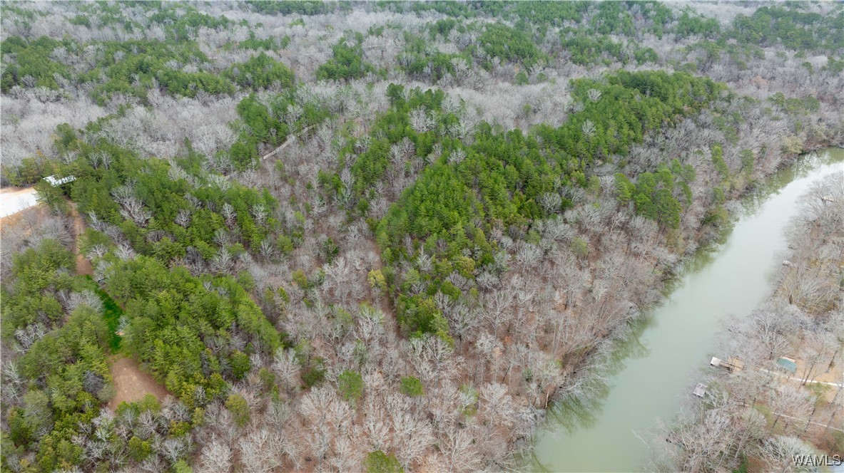 00000 Berryhill Drive, North Port, Alabama image 11
