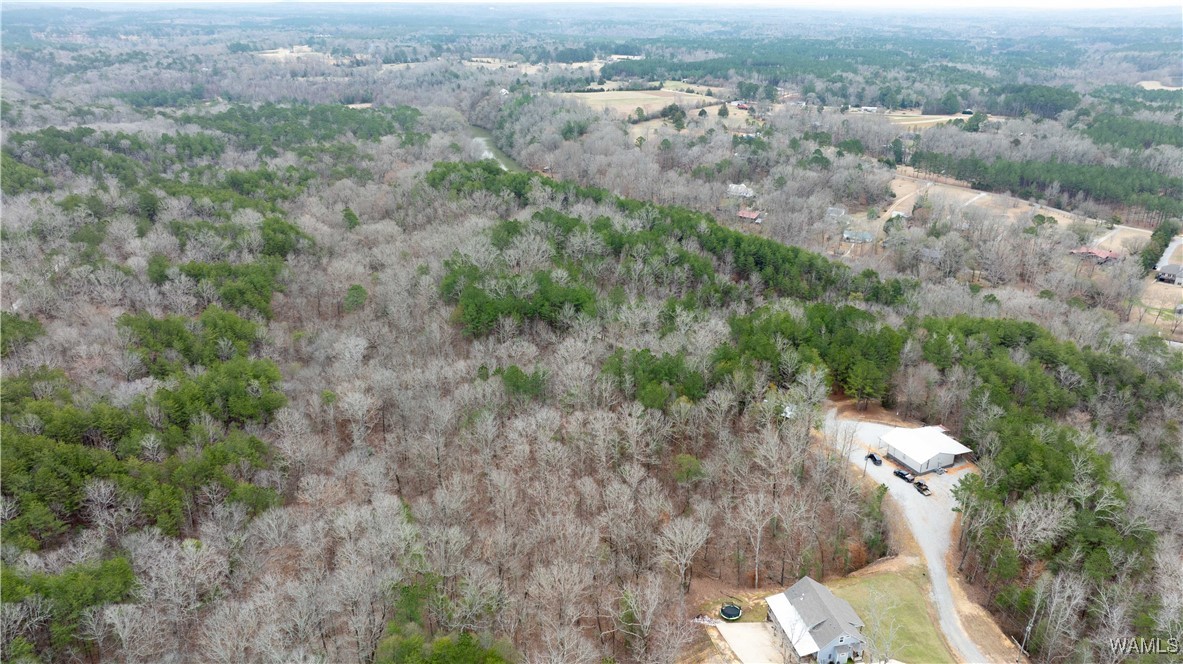 00000 Berryhill Drive, North Port, Alabama image 9