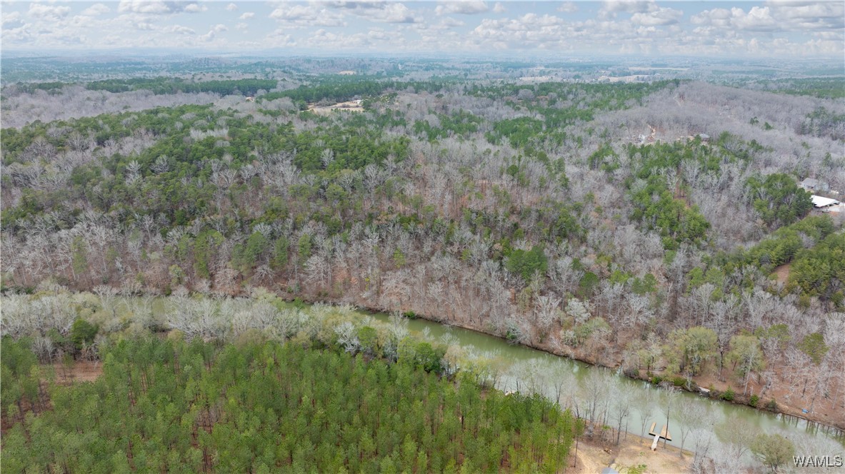 00000 Berryhill Drive, North Port, Alabama image 25