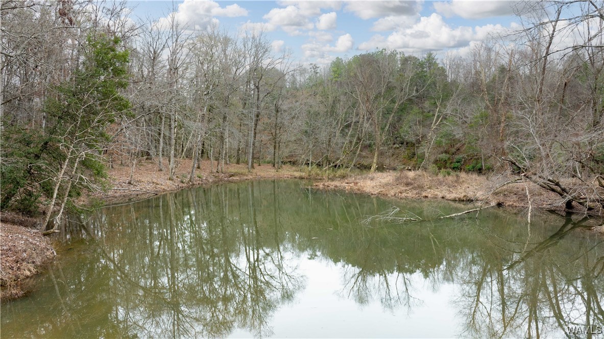 00000 Berryhill Drive, North Port, Alabama image 6