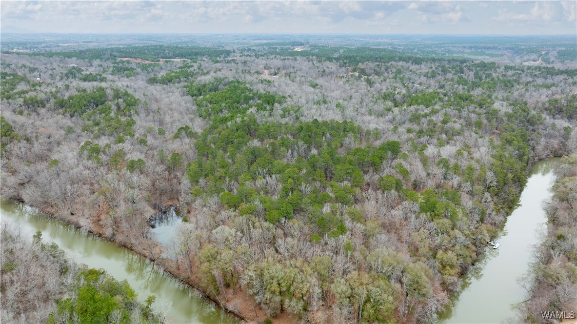 00000 Berryhill Drive, North Port, Alabama image 42
