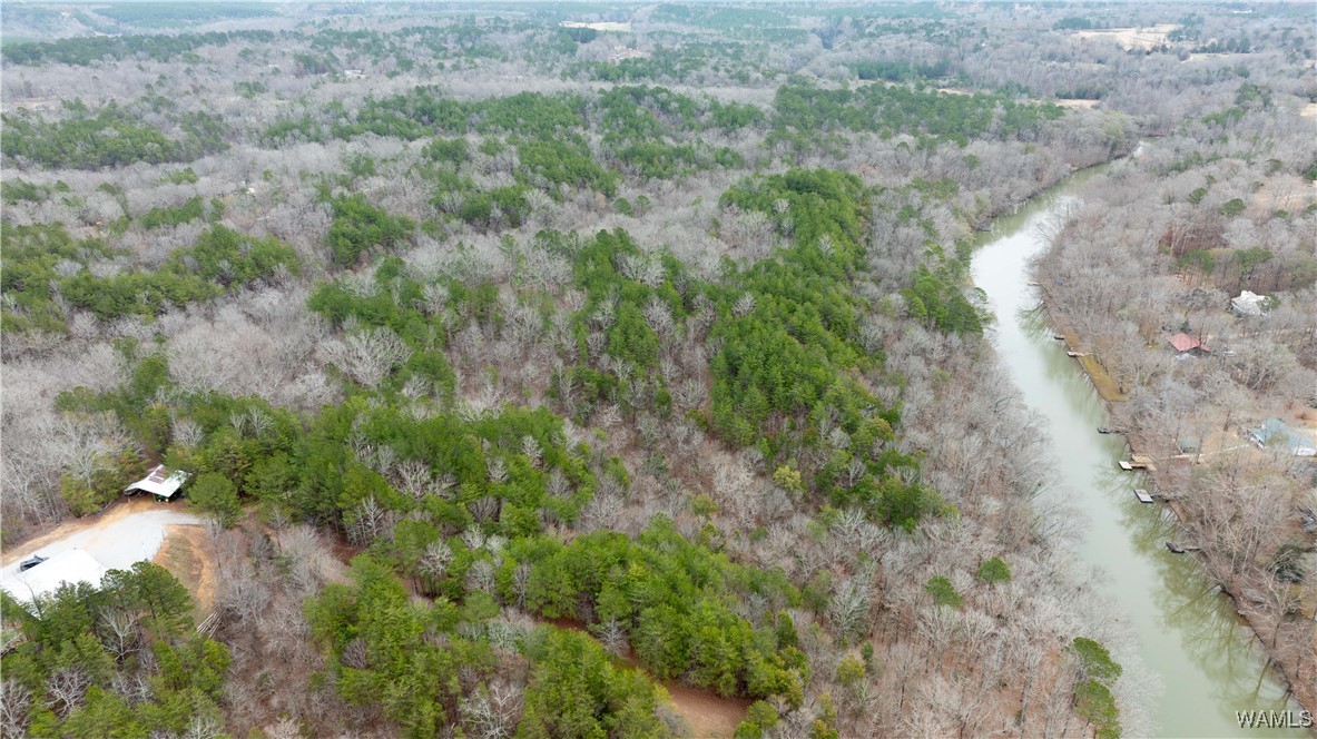 00000 Berryhill Drive, North Port, Alabama image 10