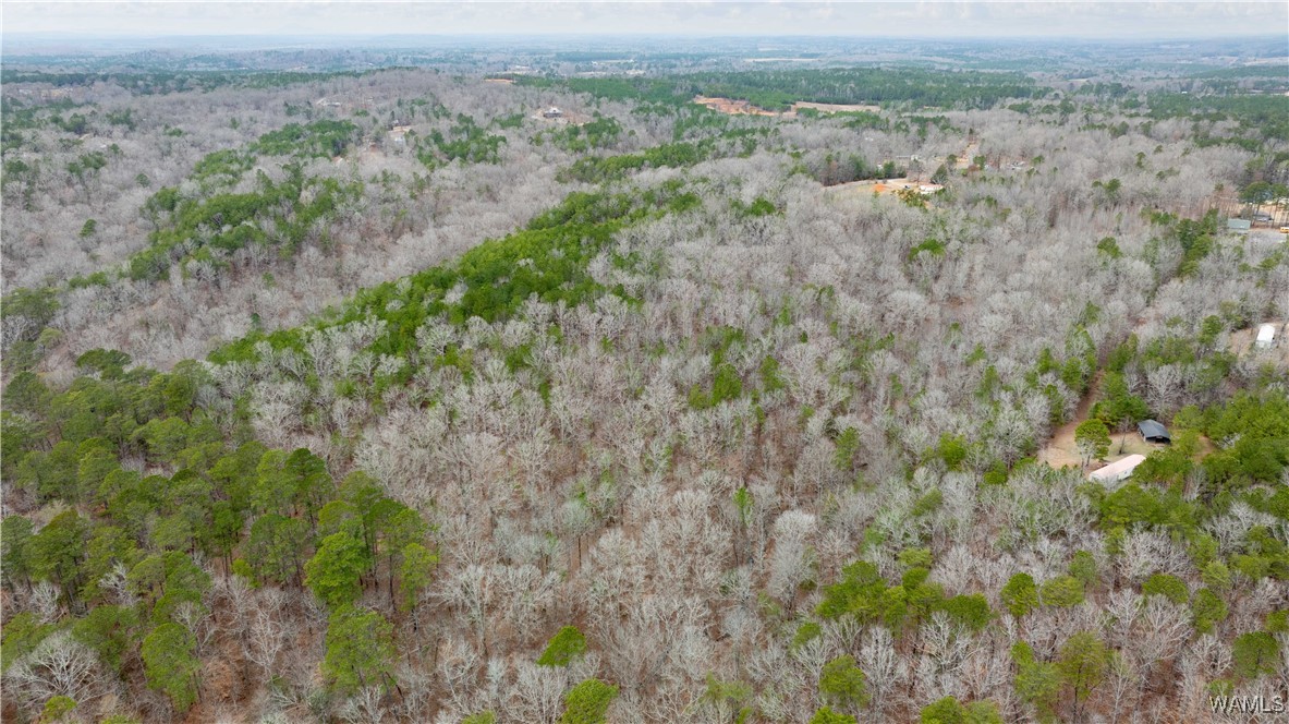 00000 Berryhill Drive, North Port, Alabama image 38