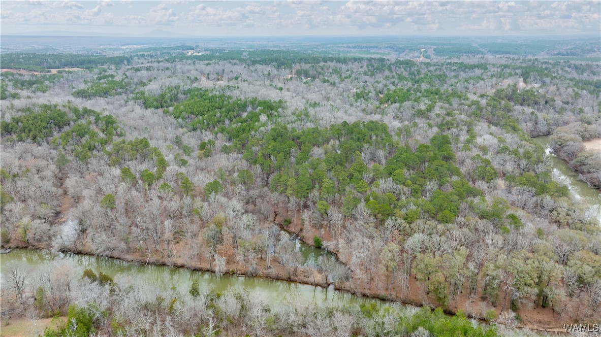 00000 Berryhill Drive, North Port, Alabama image 43