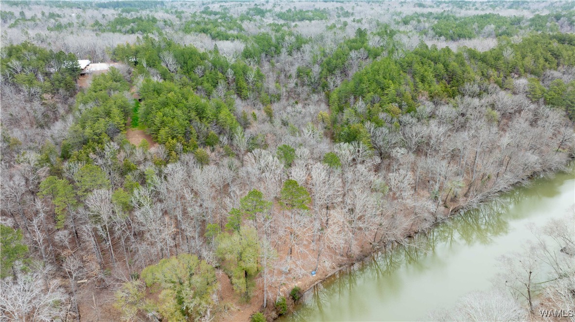 00000 Berryhill Drive, North Port, Alabama image 18