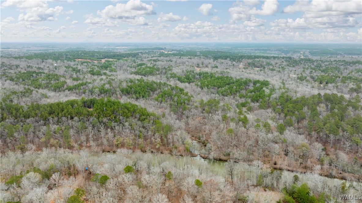 00000 Berryhill Drive, North Port, Alabama image 44