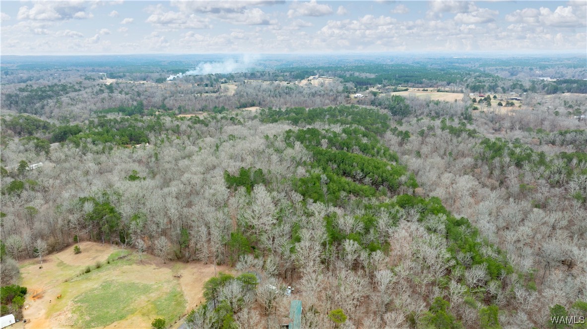 00000 Berryhill Drive, North Port, Alabama image 34