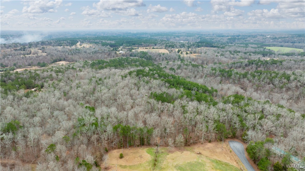00000 Berryhill Drive, North Port, Alabama image 35