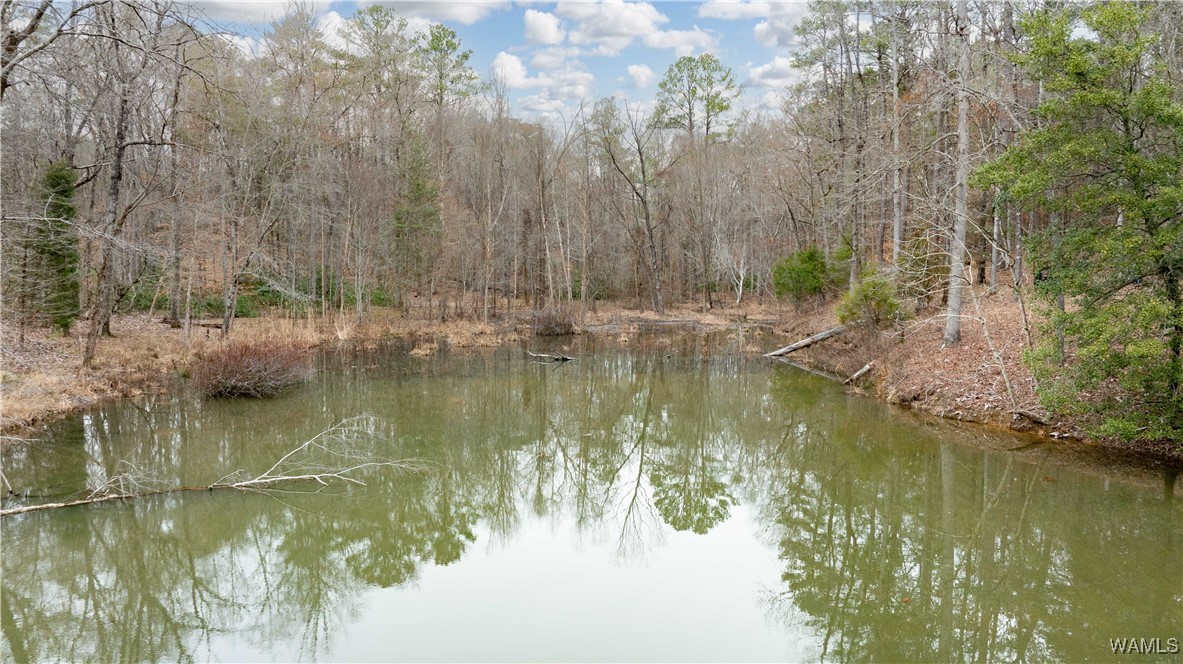 00000 Berryhill Drive, North Port, Alabama image 7