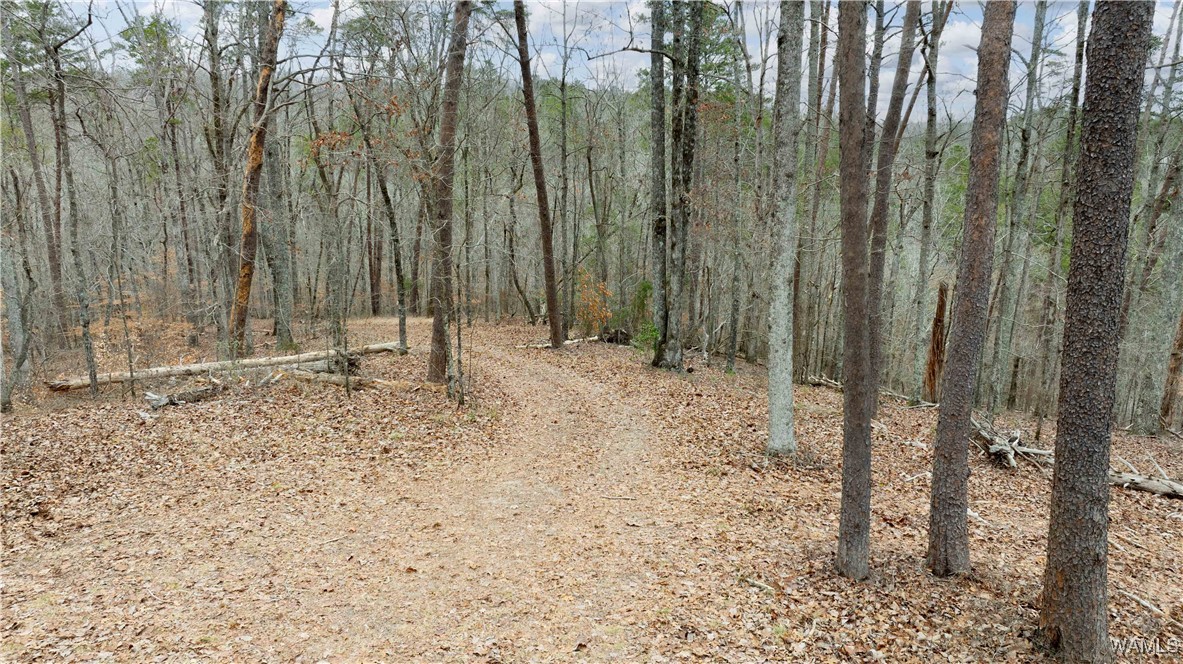 00000 Berryhill Drive, North Port, Alabama image 31