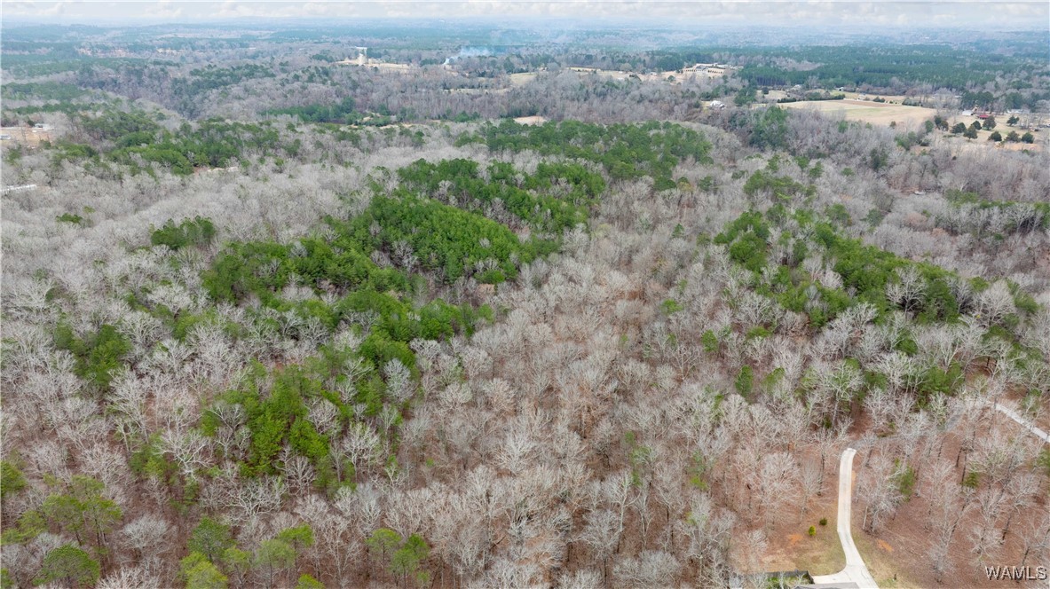 00000 Berryhill Drive, North Port, Alabama image 47
