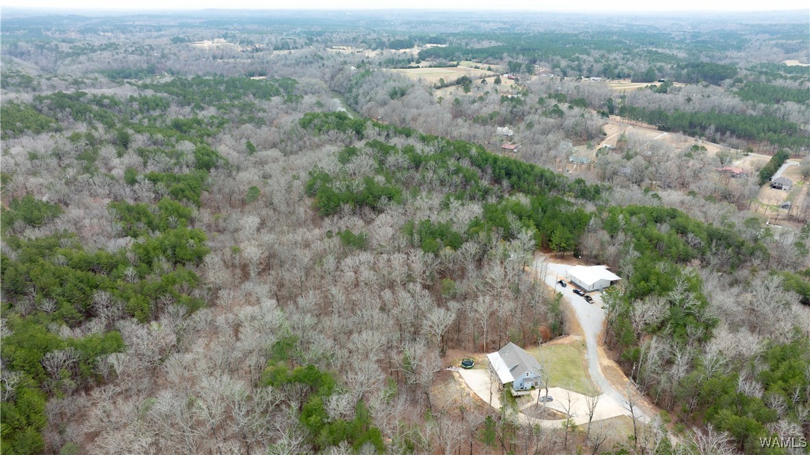 00000 Berryhill Drive, North Port, Alabama image 8