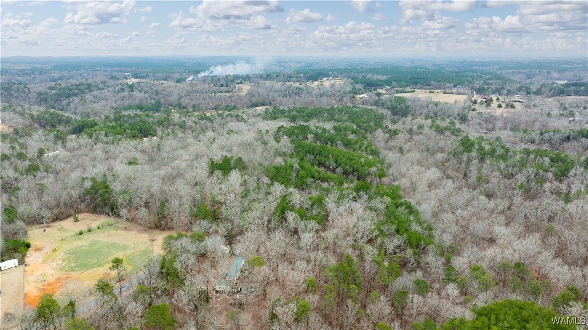 00000 Berryhill Drive, North Port, Alabama image 33