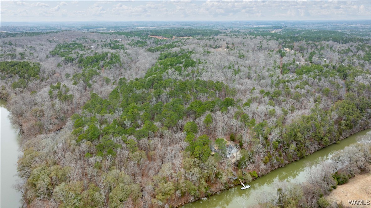 00000 Berryhill Drive, North Port, Alabama image 39