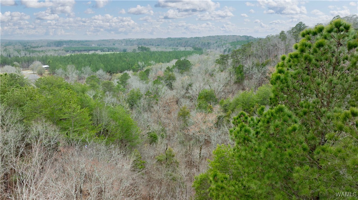00000 Berryhill Drive, North Port, Alabama image 30
