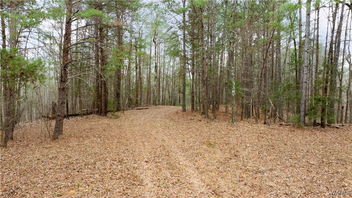 00000 Berryhill Drive, North Port, Alabama image 48