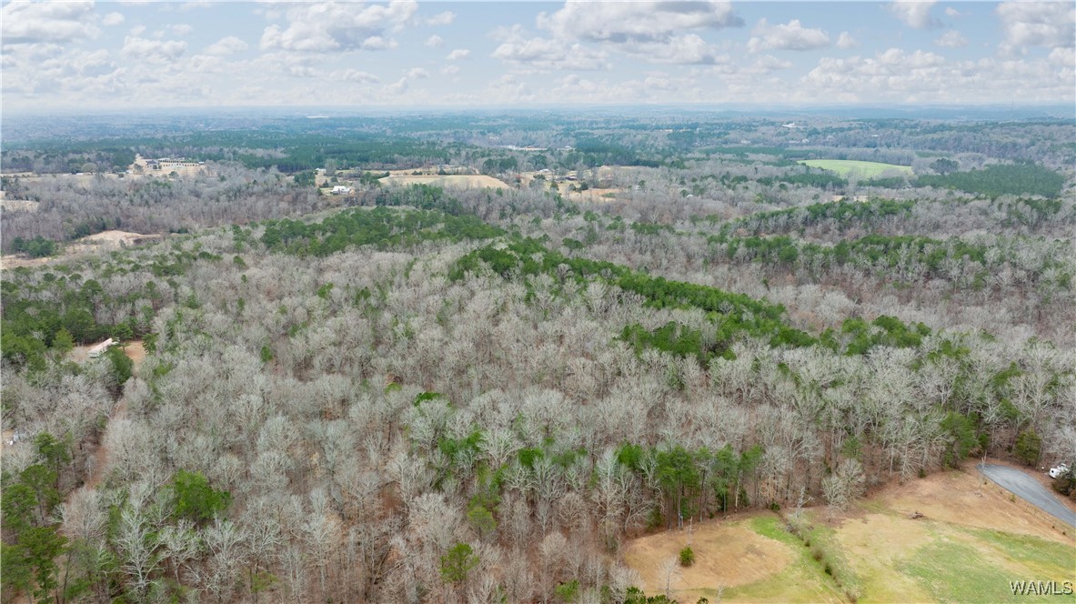 00000 Berryhill Drive, North Port, Alabama image 36