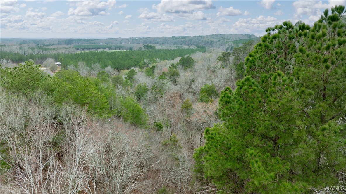 00000 Berryhill Drive, North Port, Alabama image 29