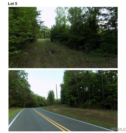 Vacant Land For Sale - 6170 Garner Road<br/> Tuscaloosa County, Tuscaloosa, AL 35405