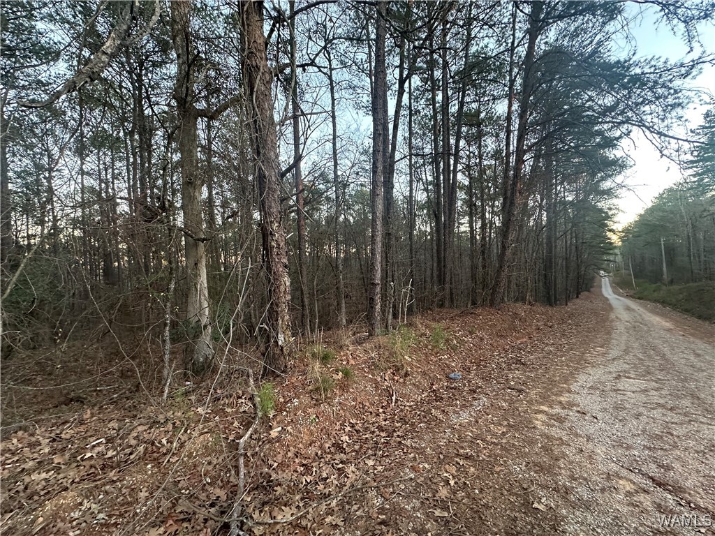 Deer Chase Road, Vance, Alabama image 1