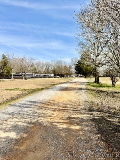 212 County Road 2, Gallion, Alabama image 18