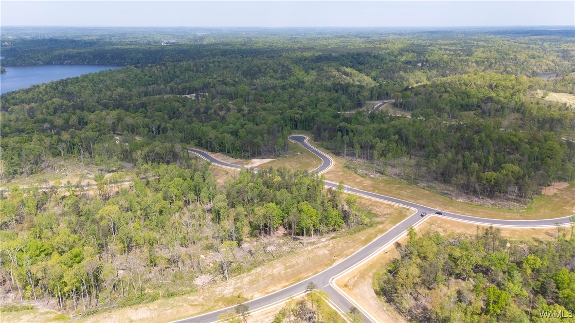 8 Lake Island Road Dr, Tuscaloosa, Alabama image 12