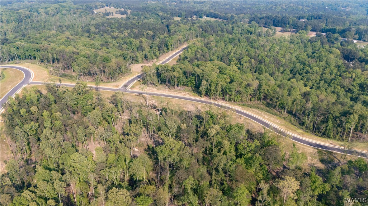 8 Lake Island Road Dr, Tuscaloosa, Alabama image 15